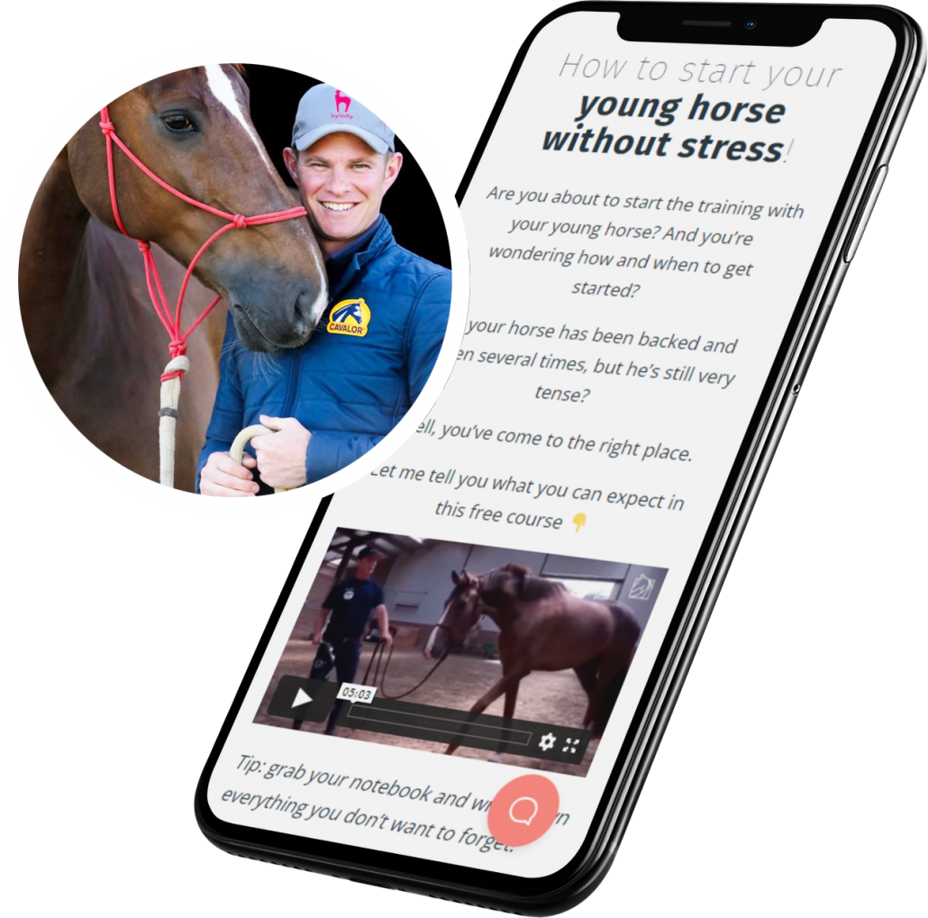 Starting a young horse trt method tristan tucker