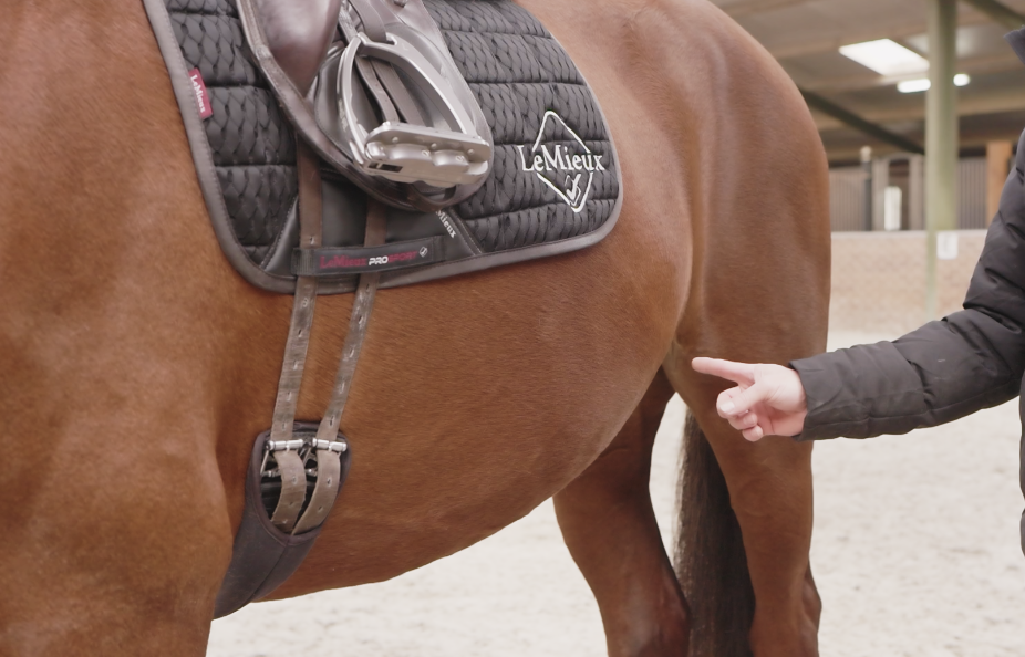 Stiff horse Stiff horse